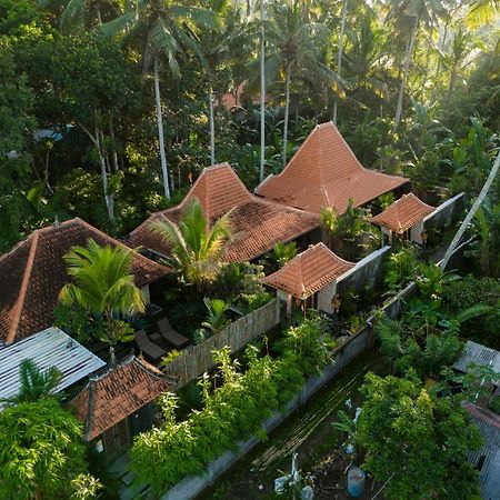 Jaya Villa أوبود المظهر الخارجي الصورة
