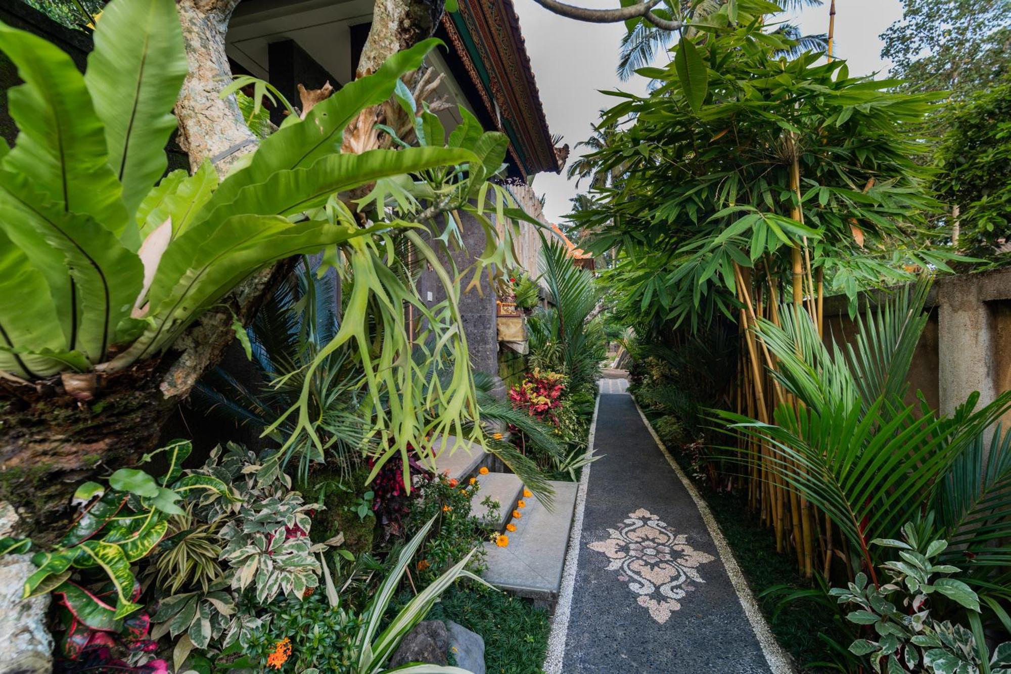 Jaya Villa أوبود المظهر الخارجي الصورة