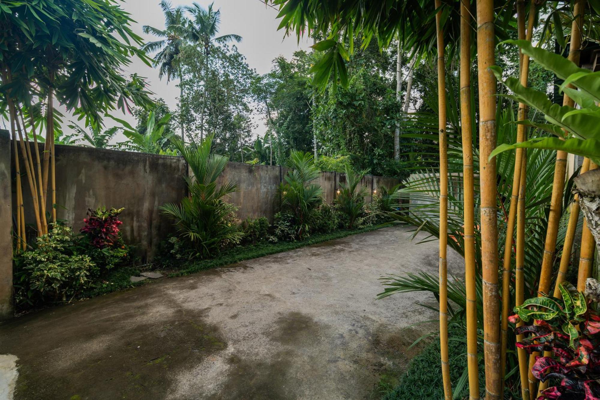 Jaya Villa أوبود المظهر الخارجي الصورة
