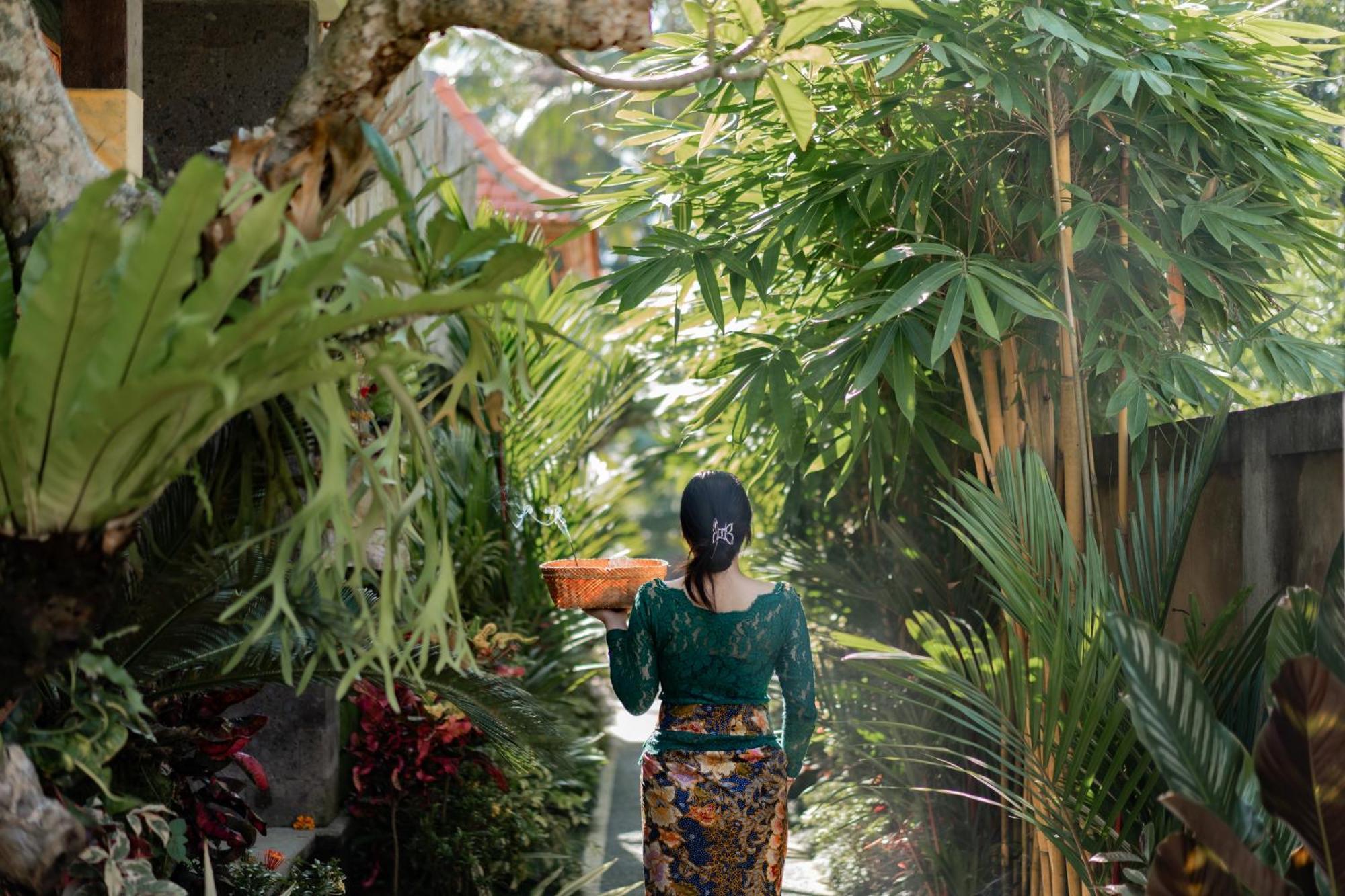 Jaya Villa أوبود المظهر الخارجي الصورة