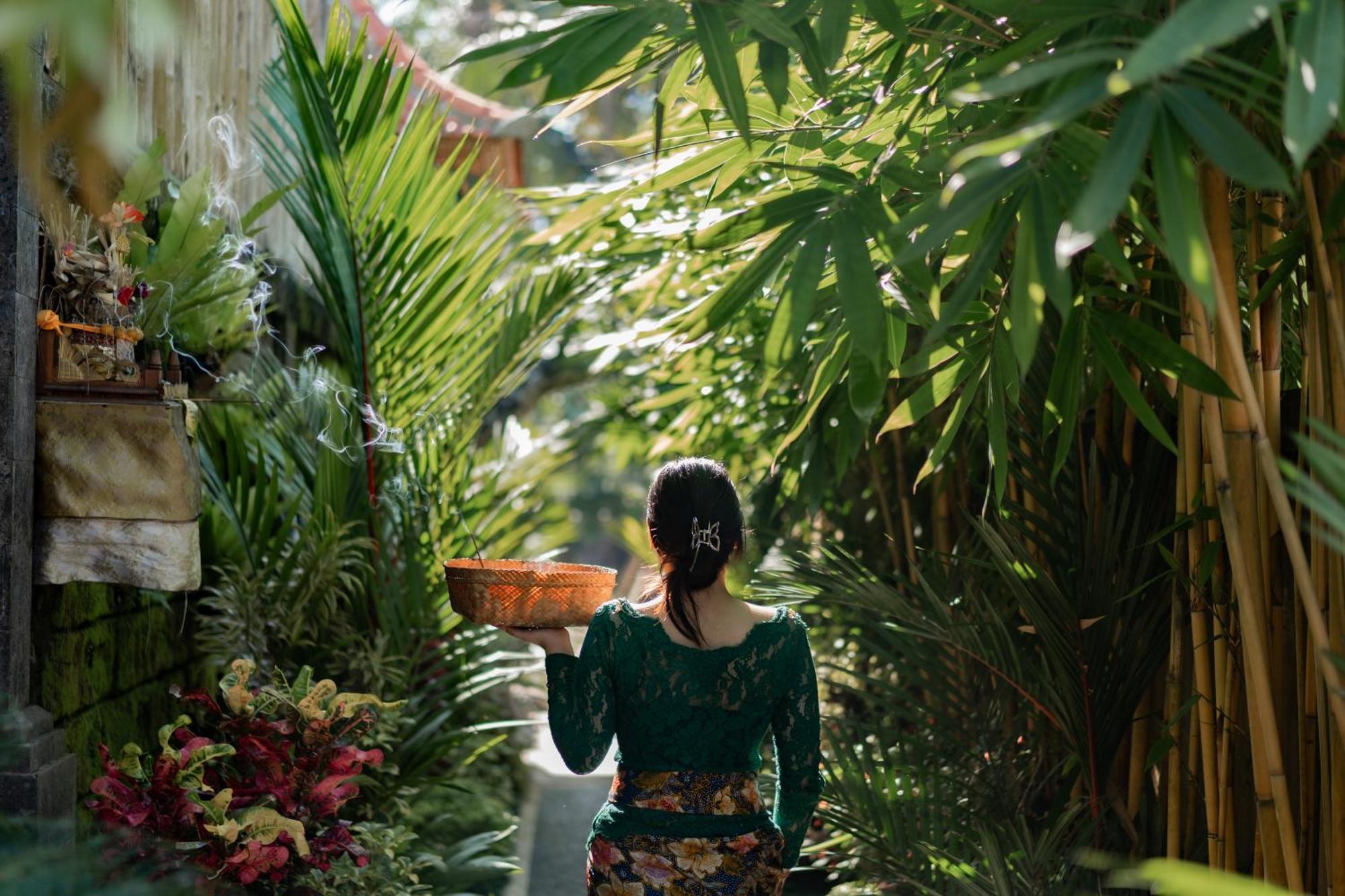 Jaya Villa أوبود المظهر الخارجي الصورة