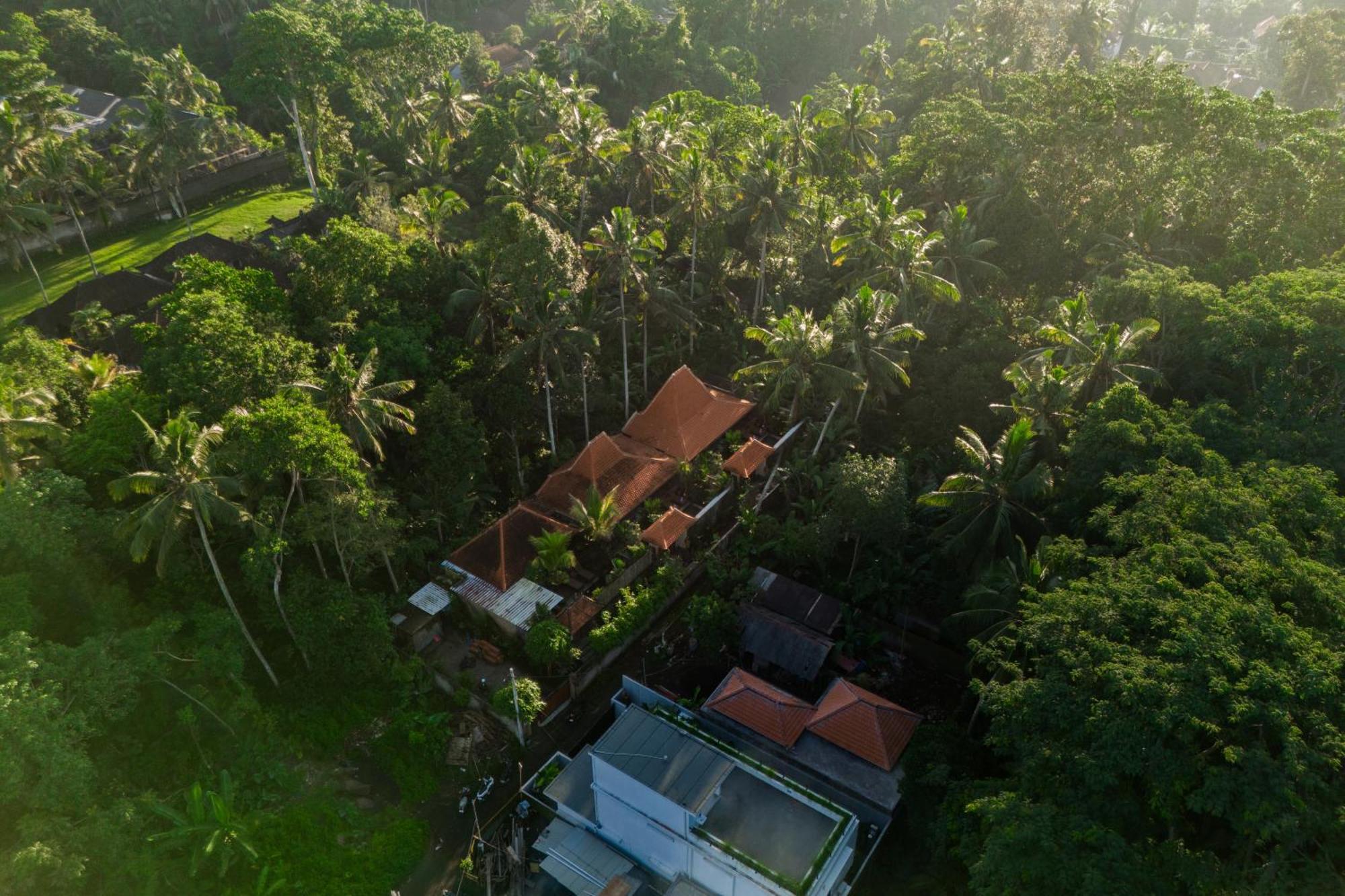Jaya Villa أوبود المظهر الخارجي الصورة
