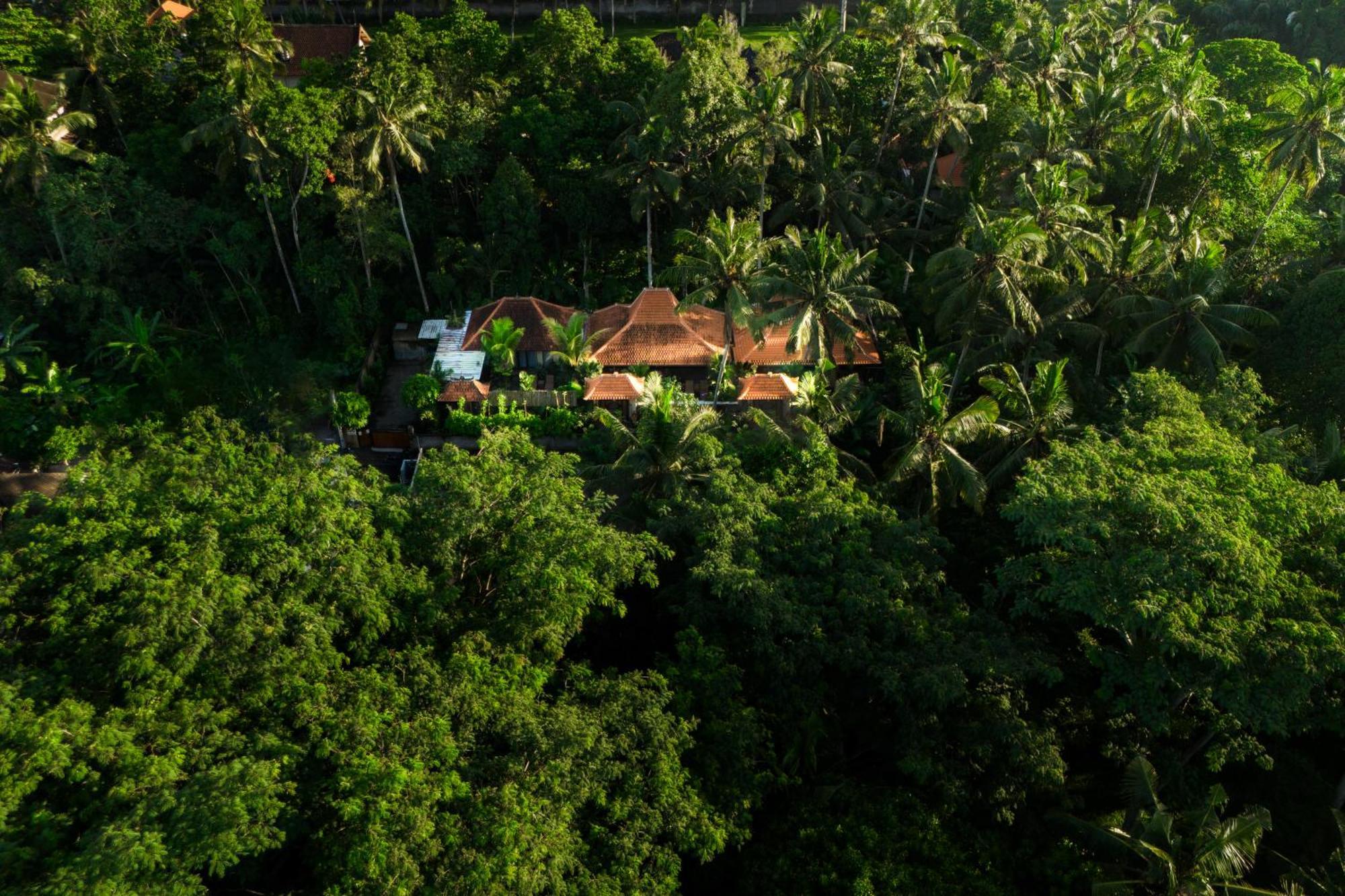 Jaya Villa أوبود المظهر الخارجي الصورة